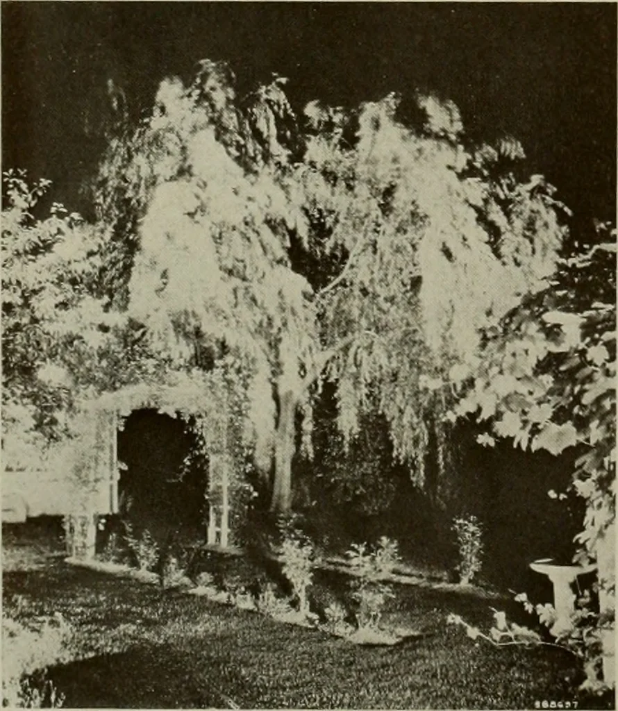 An illustration from Architect and engineer, 1905, leaf 133