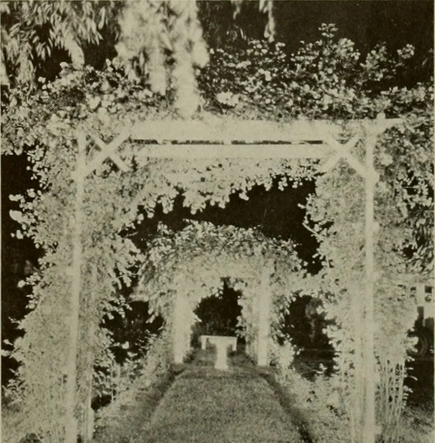 An illustration from Architect and engineer, 1905, leaf 134