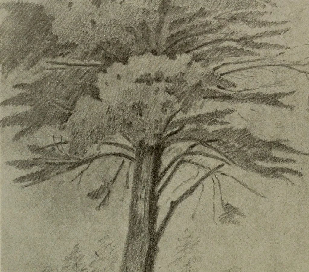An illustration from Architect and engineer, 1905, leaf 137
