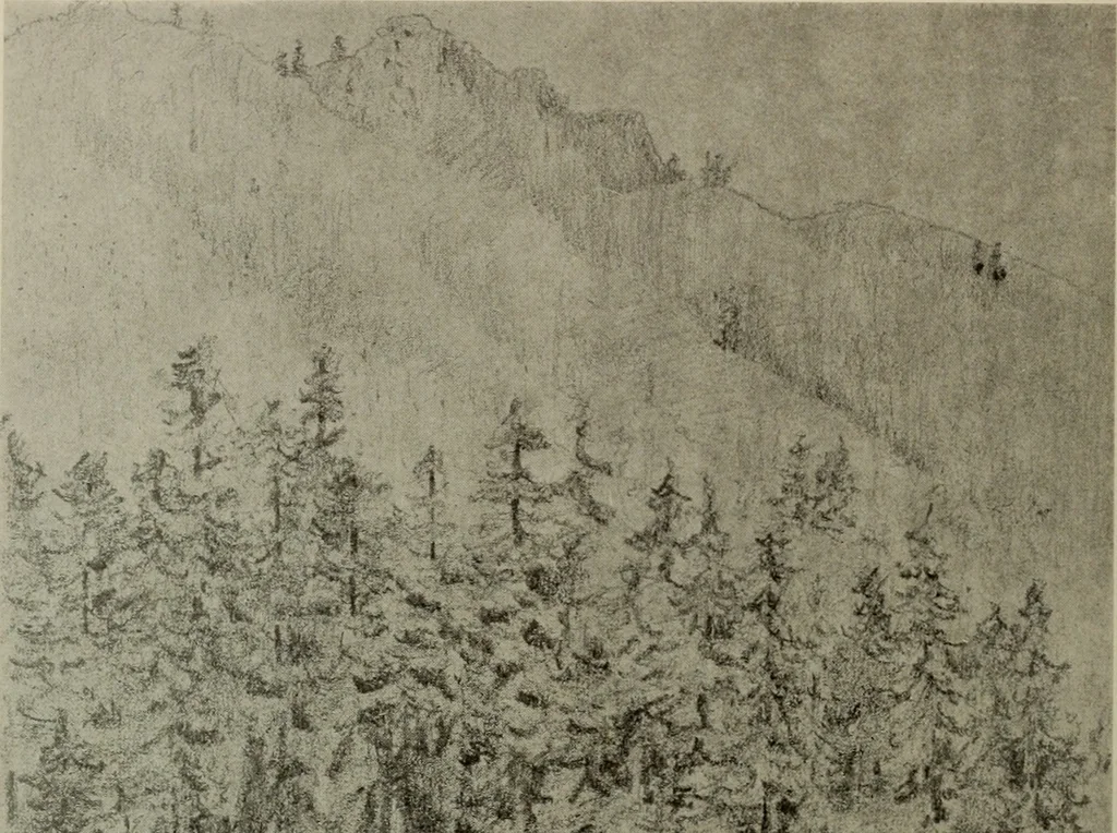 An illustration from Architect and engineer, 1905, leaf 141