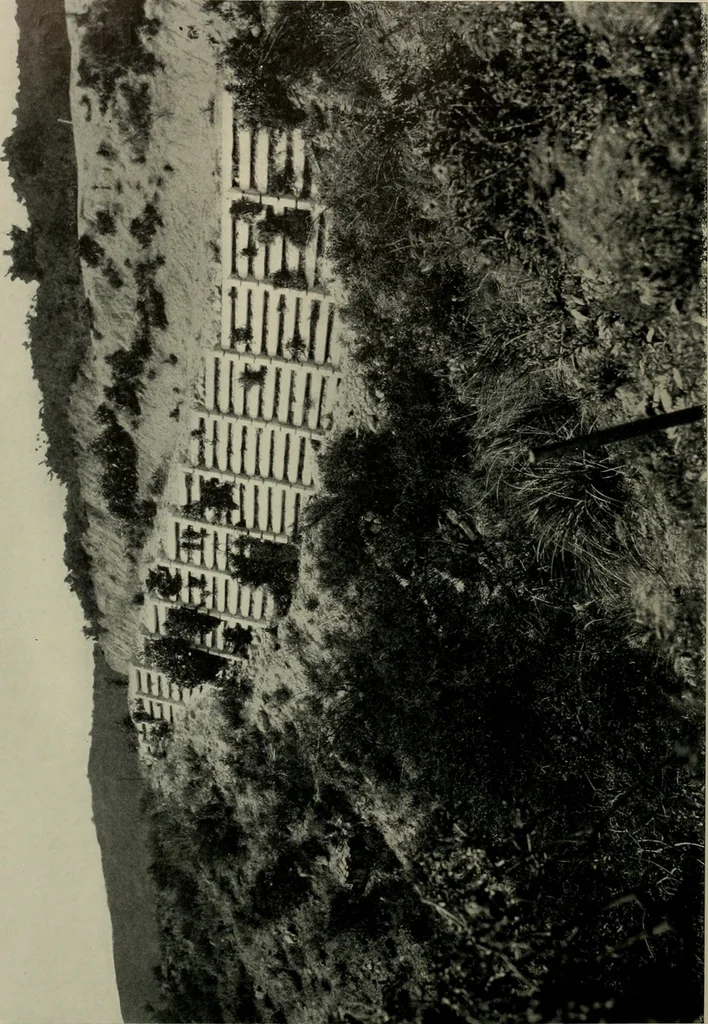 An illustration from Architect and engineer, 1905, leaf 171