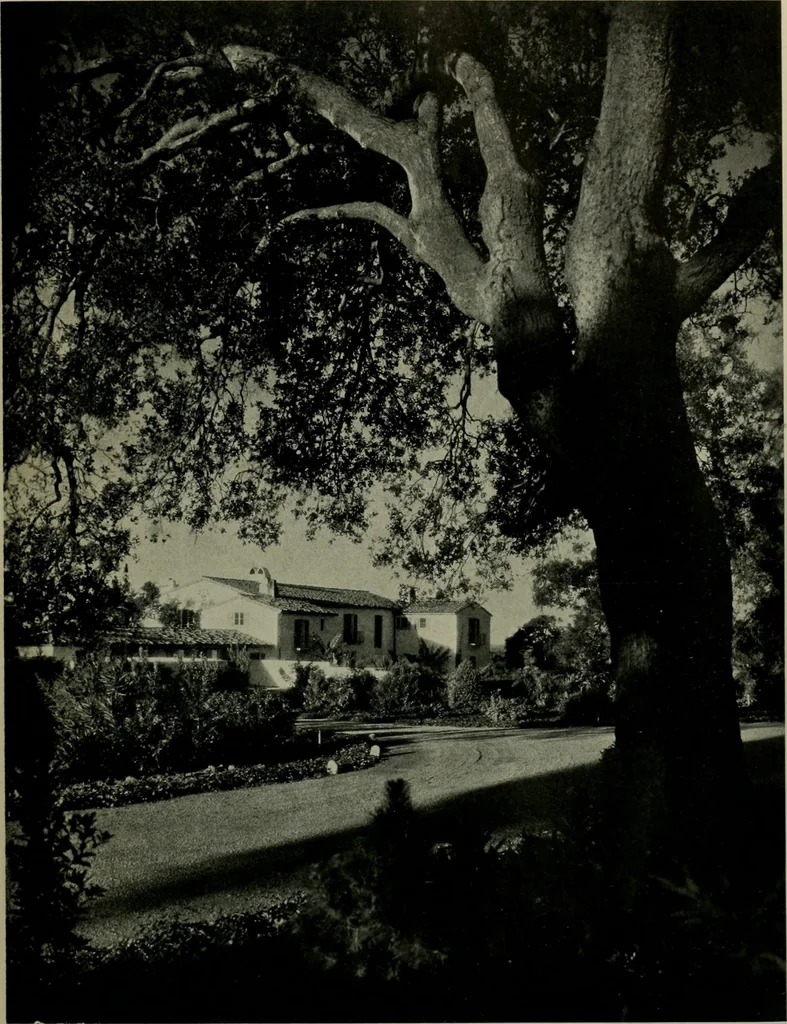 An illustration from Architect and engineer, 1905, leaf 22