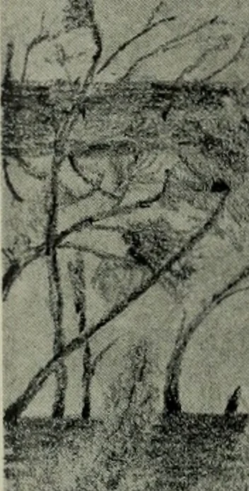 An illustration from Architect and engineer, 1905, leaf 221