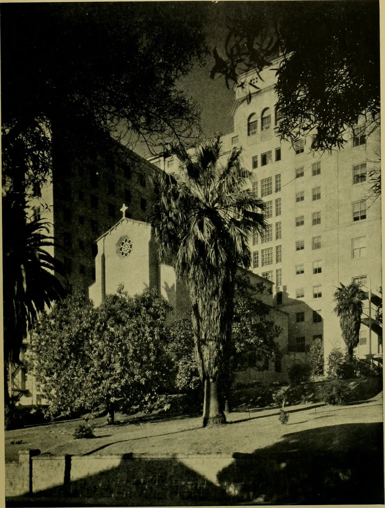 An illustration from Architect and engineer, 1905, leaf 46
