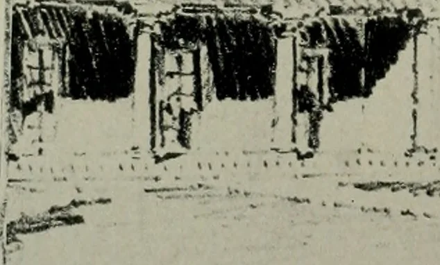 An illustration from Architect and engineer, 1905, leaf 523