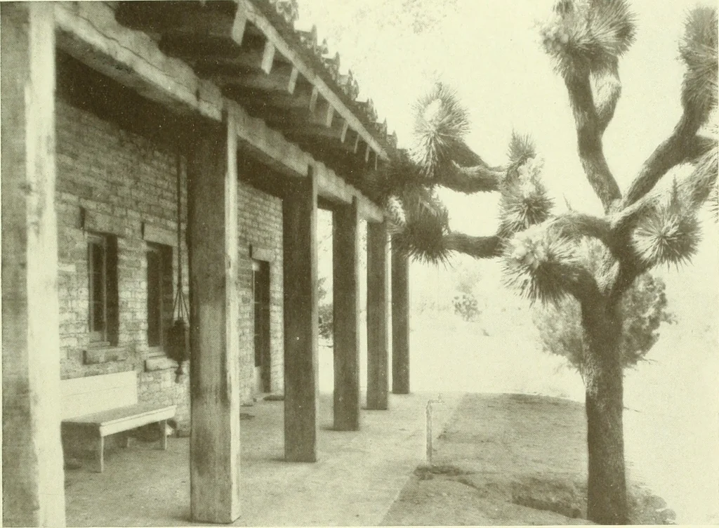 An illustration from Architect and engineer, 1905, leaf 130