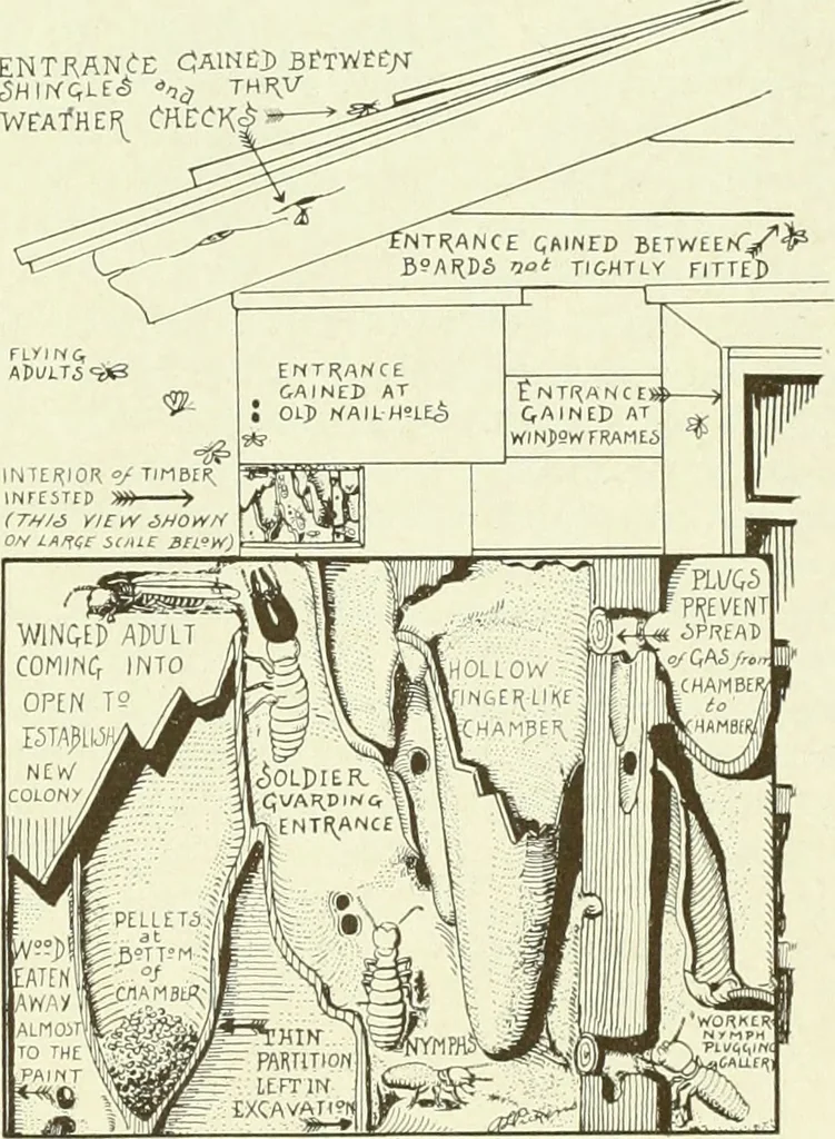 An illustration from Architect and engineer, 1905, leaf 178