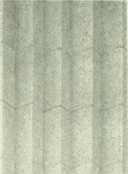 An illustration from Architect and engineer, 1905, leaf 243