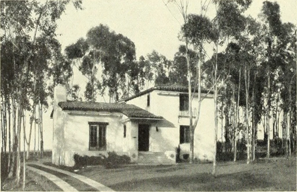 An illustration from Architect and engineer, 1905, leaf 341