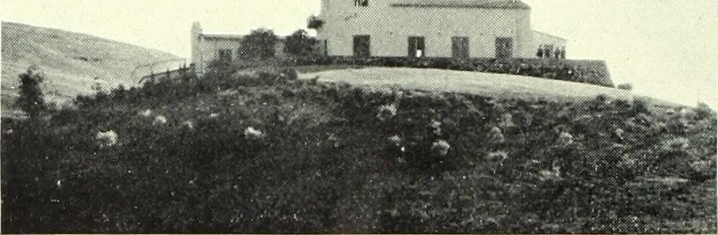 An illustration from Architect and engineer, 1905, leaf 347