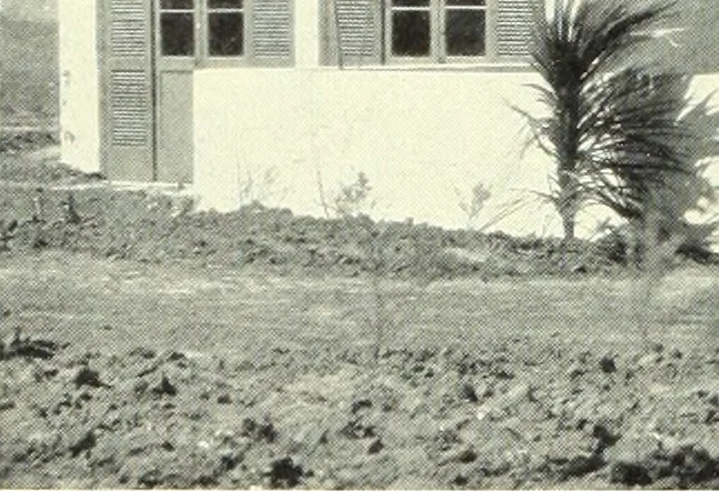 An illustration from Architect and engineer, 1905, leaf 379