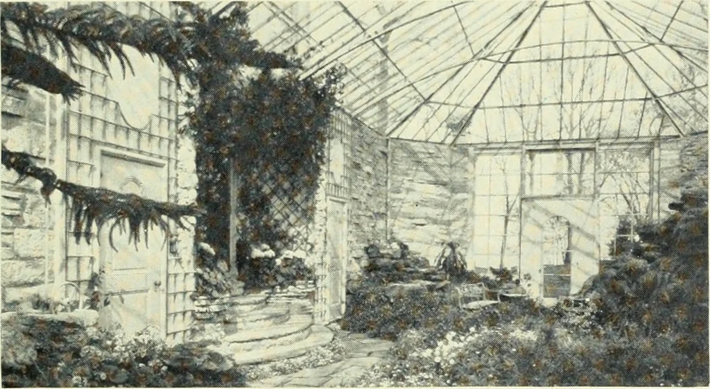 An illustration from Architect and engineer, 1905, leaf 528