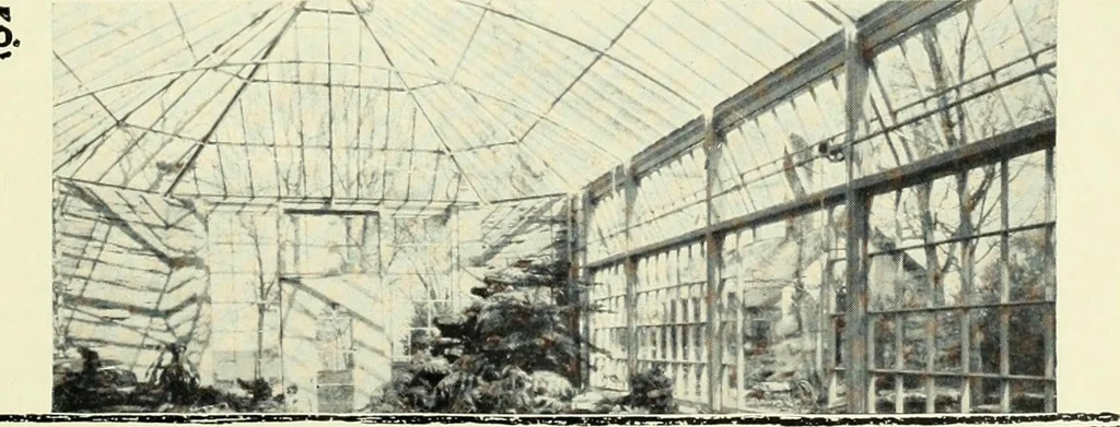 An illustration from Architect and engineer, 1905, leaf 528