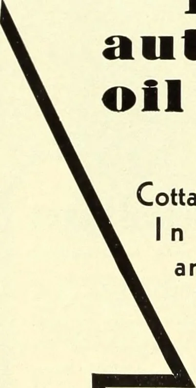 An illustration from Architect and engineer, 1905, leaf 543
