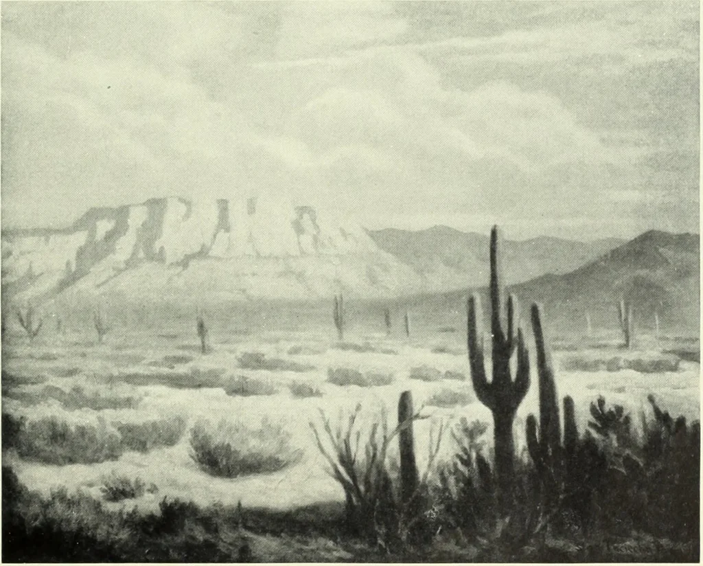 An illustration from Architect and engineer, 1905, leaf 598