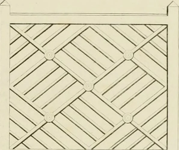 An illustration from The architect, or practical house carpenter : Illustrated by sixty-four engravings, which exhibit the orders of architecture, and other elements of the art, designed for the use of carpenters and builders, 1850, leaf 142