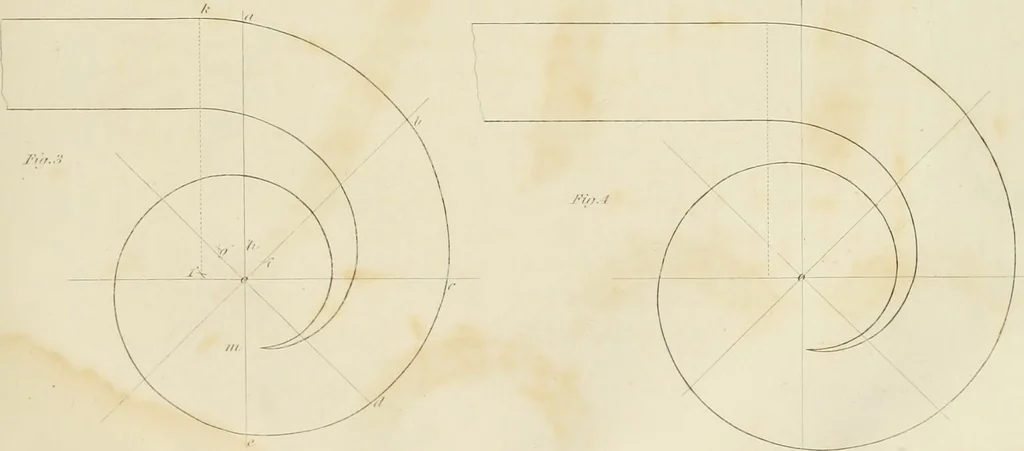 An illustration from The architect, or practical house carpenter : Illustrated by sixty-four engravings, which exhibit the orders of architecture, and other elements of the art, designed for the use of carpenters and builders, 1850, leaf 218