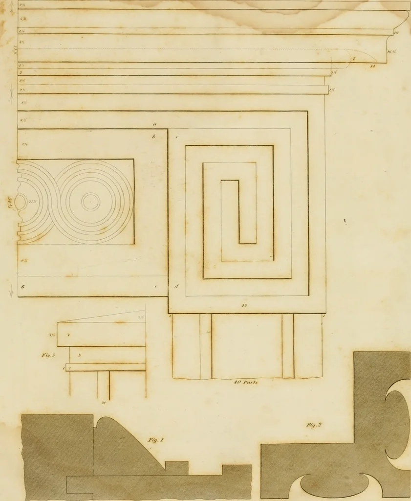 An illustration from The architect, or practical house carpenter : Illustrated by sixty-four engravings, which exhibit the orders of architecture, and other elements of the art, designed for the use of carpenters and builders, 1850, leaf 244