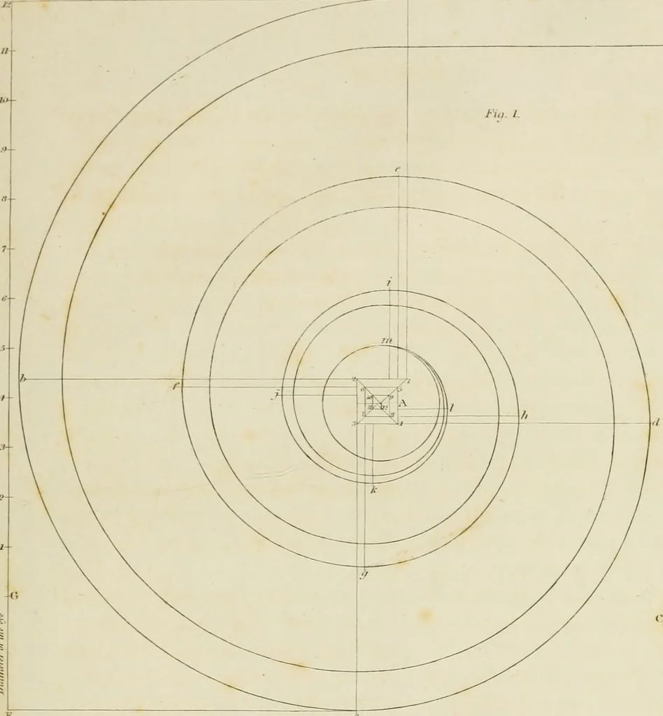 An illustration from The architect, or practical house carpenter : Illustrated by sixty-four engravings, which exhibit the orders of architecture, and other elements of the art, designed for the use of carpenters and builders, 1850, leaf 94