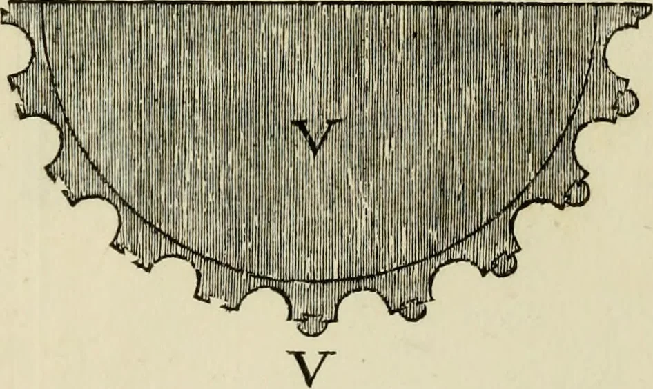 An illustration from Architectura, 1825, leaf 384