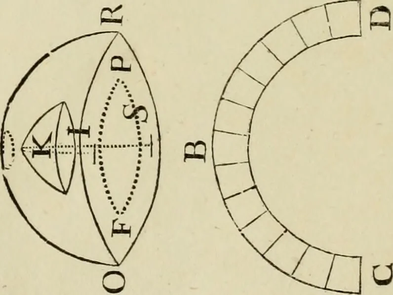An illustration from Architectura, 1825, leaf 396