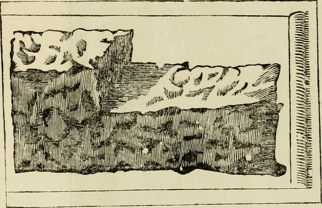 An illustration from Architectura, 1825, leaf 366