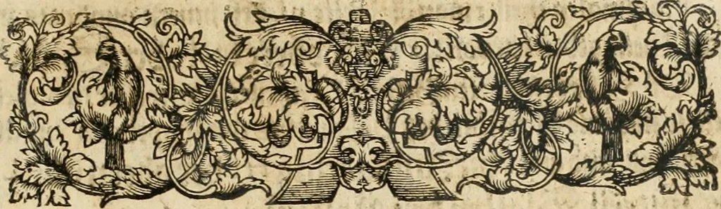 An illustration from Architectura civilis nova & antiqua : das ist von den fünff Säulen zu der Baukunst gehörig, wie dieselbige vom Vitruvio, Archimede, und andern alten Meistern auss rechtem fundament in gewisse Lehrsätz und Regeln abgefasset und begriffen ..., 1663, leaf 98