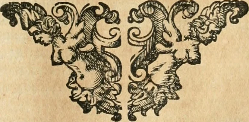 An illustration from Architectura civil recta y obliqua : considerada y dibuxada en el Templo de Ierusalen ... promovida a suma perfeccion en el templo y palacio de S. Lorenço cerca del Escurial ..., 1678, leaf 106