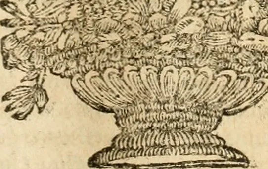 An illustration from Architectura civil recta y obliqua : considerada y dibuxada en el Templo de Ierusalen ... promovida a suma perfeccion en el templo y palacio de S. Lorenço cerca del Escurial ..., 1678, leaf 136