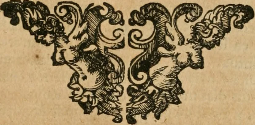 An illustration from Architectura civil recta y obliqua : considerada y dibuxada en el Templo de Ierusalen ... promovida a suma perfeccion en el templo y palacio de S. Lorenço cerca del Escurial ..., 1678, leaf 147