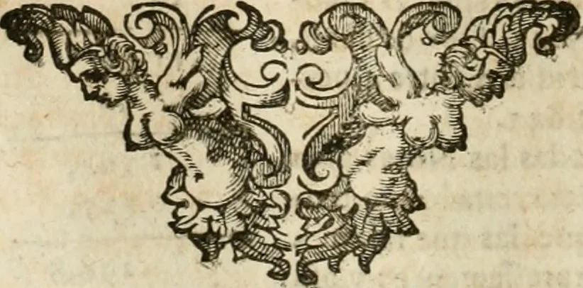 An illustration from Architectura civil recta y obliqua : considerada y dibuxada en el Templo de Ierusalen ... promovida a suma perfeccion en el templo y palacio de S. Lorenço cerca del Escurial ..., 1678, leaf 157