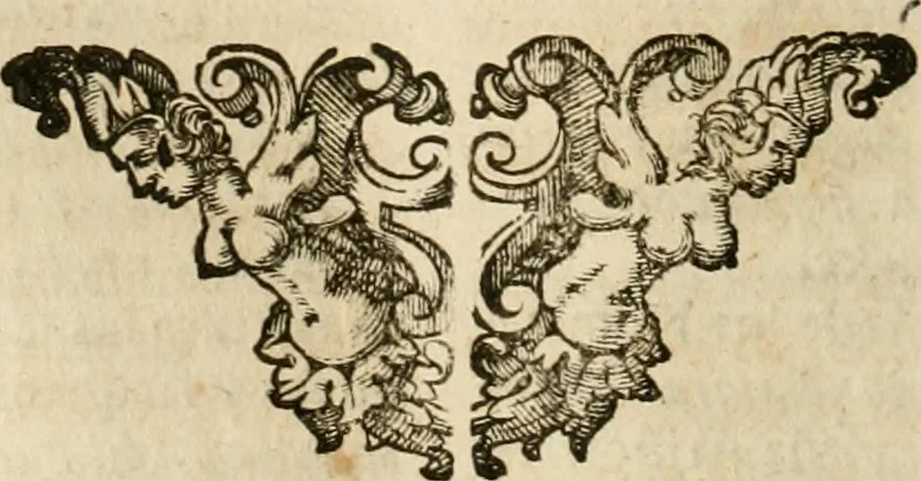 An illustration from Architectura civil recta y obliqua : considerada y dibuxada en el Templo de Ierusalen ... promovida a suma perfeccion en el templo y palacio de S. Lorenço cerca del Escurial ..., 1678, leaf 249