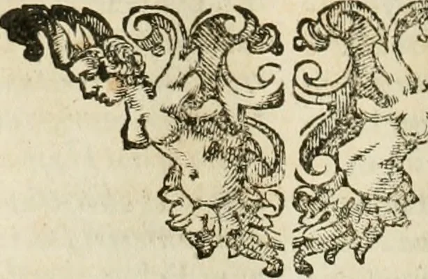An illustration from Architectura civil recta y obliqua : considerada y dibuxada en el Templo de Ierusalen ... promovida a suma perfeccion en el templo y palacio de S. Lorenço cerca del Escurial ..., 1678, leaf 335