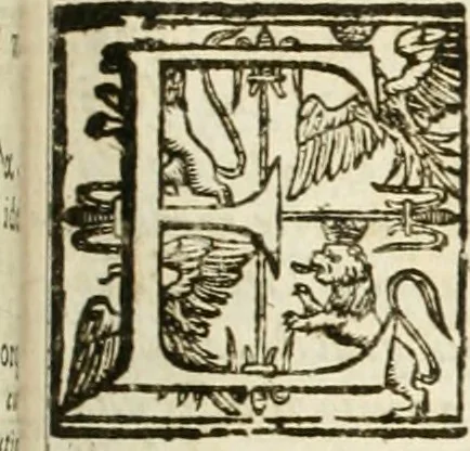 An illustration from Architectura civil recta y obliqua : considerada y dibuxada en el Templo de Ierusalen ... promovida a suma perfeccion en el templo y palacio de S. Lorenço cerca del Escurial ..., 1678, leaf 336