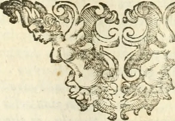 An illustration from Architectura civil recta y obliqua : considerada y dibuxada en el Templo de Ierusalen ... promovida a suma perfeccion en el templo y palacio de S. Lorenço cerca del Escurial ..., 1678, leaf 386