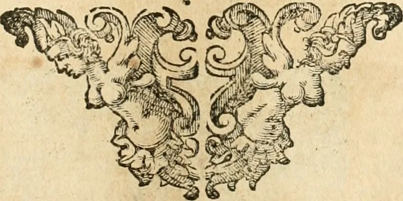 An illustration from Architectura civil recta y obliqua : considerada y dibuxada en el Templo de Ierusalen ... promovida a suma perfeccion en el templo y palacio de S. Lorenço cerca del Escurial ..., 1678, leaf 402