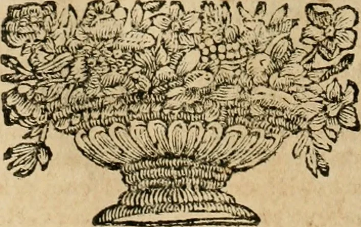 An illustration from Architectura civil recta y obliqua : considerada y dibuxada en el Templo de Ierusalen ... promovida a suma perfeccion en el templo y palacio de S. Lorenço cerca del Escurial ..., 1678, leaf 403