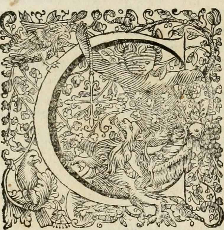 An illustration from Architectura civil recta y obliqua : considerada y dibuxada en el Templo de Ierusalen ... promovida a suma perfeccion en el templo y palacio de S. Lorenço cerca del Escurial ..., 1678, leaf 541