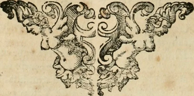 An illustration from Architectura civil recta y obliqua : considerada y dibuxada en el Templo de Ierusalen ... promovida a suma perfeccion en el templo y palacio de S. Lorenço cerca del Escurial ..., 1678, leaf 583