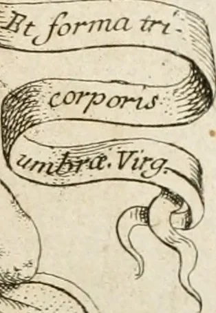An illustration from Architectura civil recta y obliqua : considerada y dibuxada en el Templo de Ierusalen ... promovida a suma perfeccion en el templo y palacio de S. Lorenço cerca del Escurial ..., 1678, leaf 608