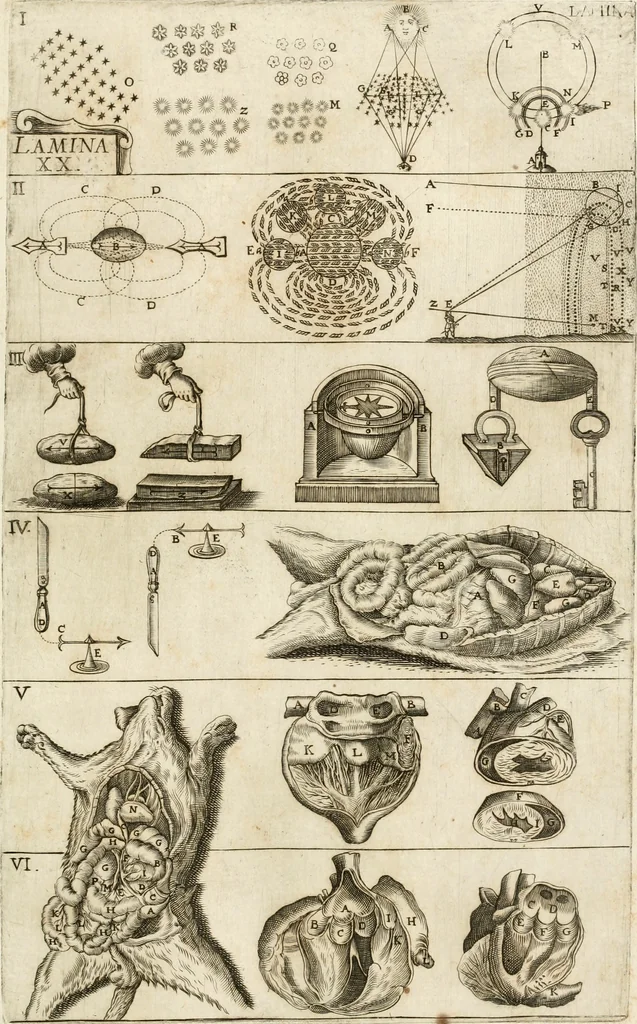 An illustration from Architectura civil recta y obliqua : considerada y dibuxada en el Templo de Ierusalen ... promovida a suma perfeccion en el templo y palacio de S. Lorenço cerca del Escurial ..., 1678, leaf 668