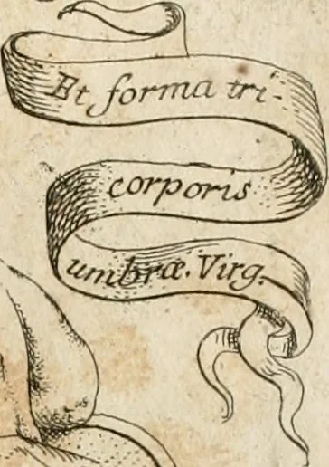 An illustration from Architectura civil recta y obliqua : considerada y dibuxada en el Templo de Ierusalen ... promovida a suma perfeccion en el templo y palacio de S. Lorenço cerca del Escurial ..., 1678, leaf 726