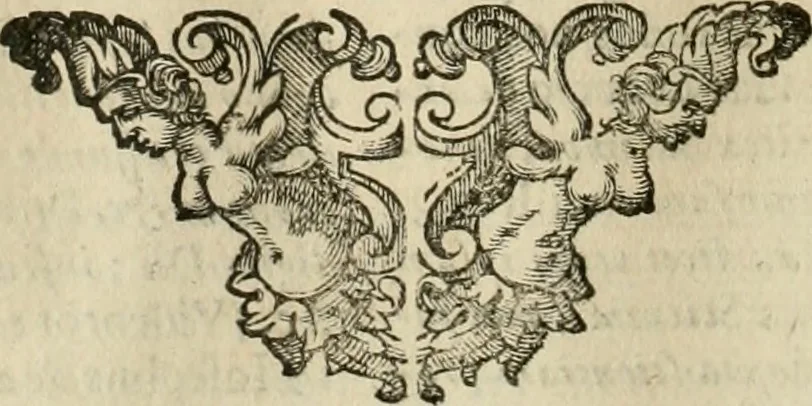 An illustration from Architectura civil recta y obliqua : considerada y dibuxada en el Templo de Ierusalen ... promovida a suma perfeccion en el templo y palacio de S. Lorenço cerca del Escurial ..., 1678, leaf 73