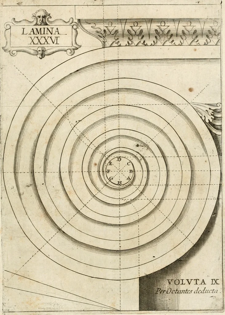 An illustration from Architectura civil recta y obliqua : considerada y dibuxada en el Templo de Ierusalen ... promovida a suma perfeccion en el templo y palacio de S. Lorenço cerca del Escurial ..., 1678, leaf 788