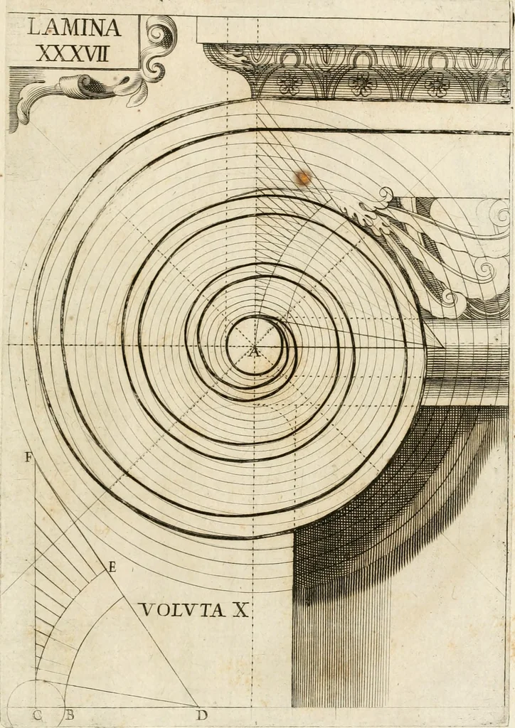An illustration from Architectura civil recta y obliqua : considerada y dibuxada en el Templo de Ierusalen ... promovida a suma perfeccion en el templo y palacio de S. Lorenço cerca del Escurial ..., 1678, leaf 790