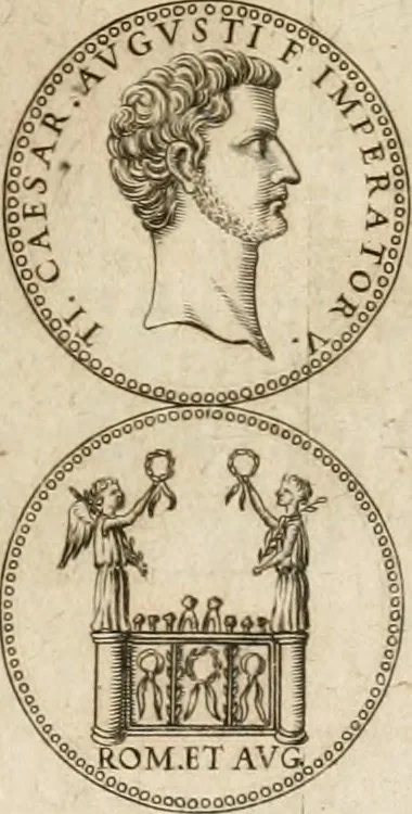 An illustration from Architectura civil recta y obliqua : considerada y dibuxada en el Templo de Ierusalen ... promovida a suma perfeccion en el templo y palacio de S. Lorenço cerca del Escurial ..., 1678, leaf 796