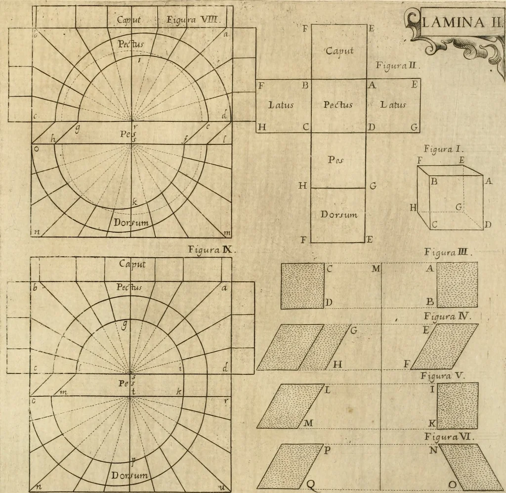 An illustration from Architectura civil recta y obliqua : considerada y dibuxada en el Templo de Ierusalen ... promovida a suma perfeccion en el templo y palacio de S. Lorenço cerca del Escurial ..., 1678, leaf 850