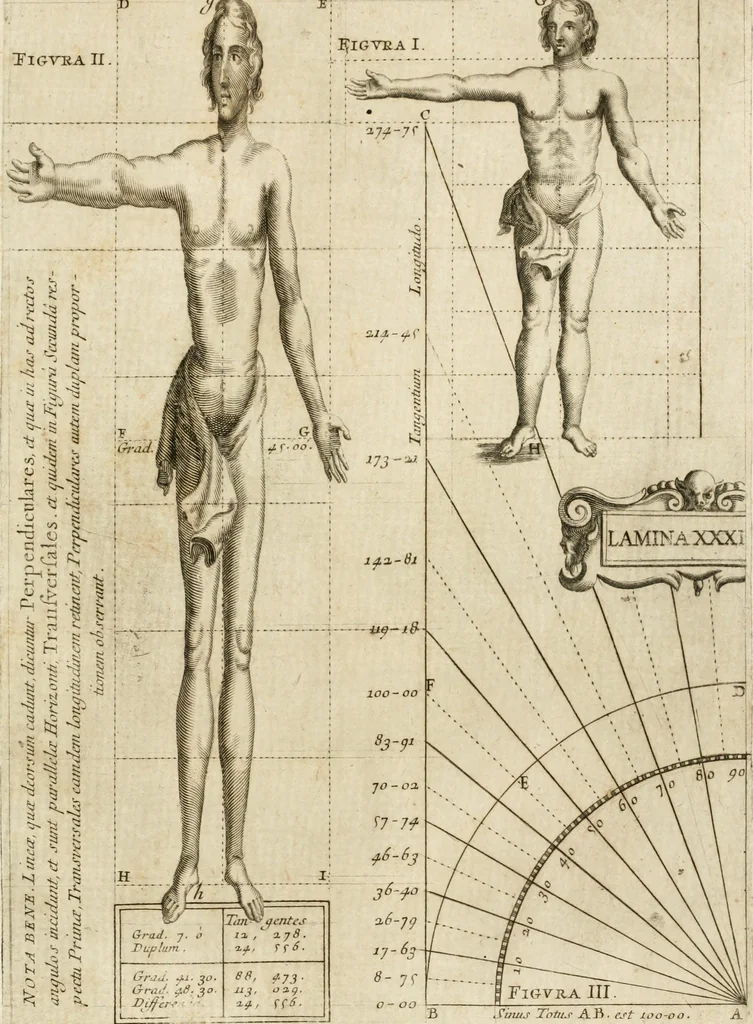 An illustration from Architectura civil recta y obliqua : considerada y dibuxada en el Templo de Ierusalen ... promovida a suma perfeccion en el templo y palacio de S. Lorenço cerca del Escurial ..., 1678, leaf 908