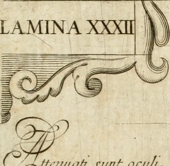 An illustration from Architectura civil recta y obliqua : considerada y dibuxada en el Templo de Ierusalen ... promovida a suma perfeccion en el templo y palacio de S. Lorenço cerca del Escurial ..., 1678, leaf 910