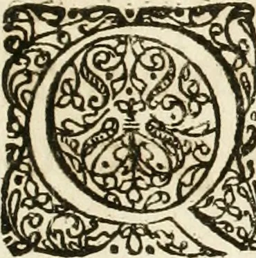 An illustration from Architectura curiosa nova, exponens 1. Fundamenta hydragogica, indolemq[ue] aquæ, aëris interventu in altum levandæ. 2. Varios aquarum ac salientium fontium lusus per varia spectatu jucunda epistomiorum seu siphonum genera. 3. Magnum amnissimorum fontium, machinarumq[ue] aquæductoriarum sumtu magno exstructarum, ac per Italiam, Britanniam, Germaniam &c. visendarum, numerum. 4. Specus artificiales sumtuosissimas, cum plerisq[ue] principum europæorum palatiis, hortis, aulis; nec non præcipuis monasteriis atq[ue] arcibus. 5. Cum auctario figurarum elegantissimarum, ad hortorum topiaria vario ductù dividenda, nec non conclavium laquearibus ac pavimentis segmentandis, itemq[ue] labyrinthis construendis, adhibendarum. Omnia 200 æri incisis... descripta, 1664, leaf 14